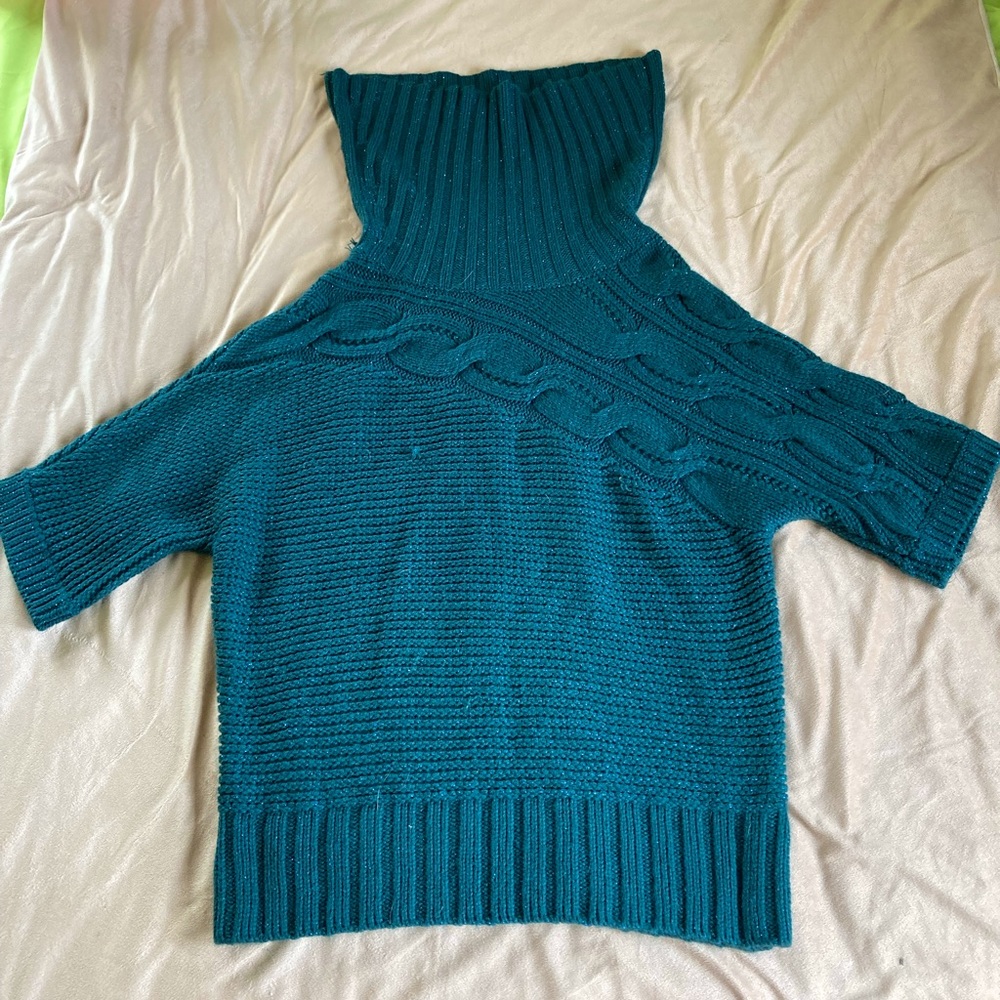 Blue/Green turtleneck sweater